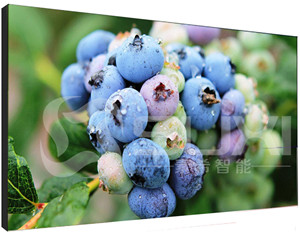 上海液晶拼接屏價格不斷壓低的原因有哪些呢？